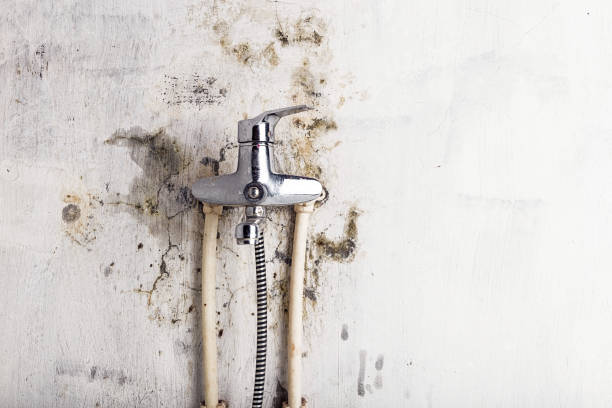 Reliable Bay Minette, AL Mold Removal Solutions